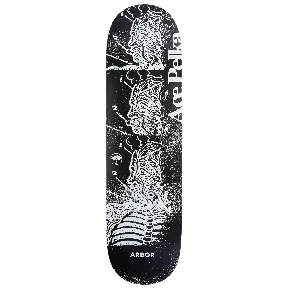 Arbor Ace Pelka Anatomy Skateboard Deck - 8.50" 1