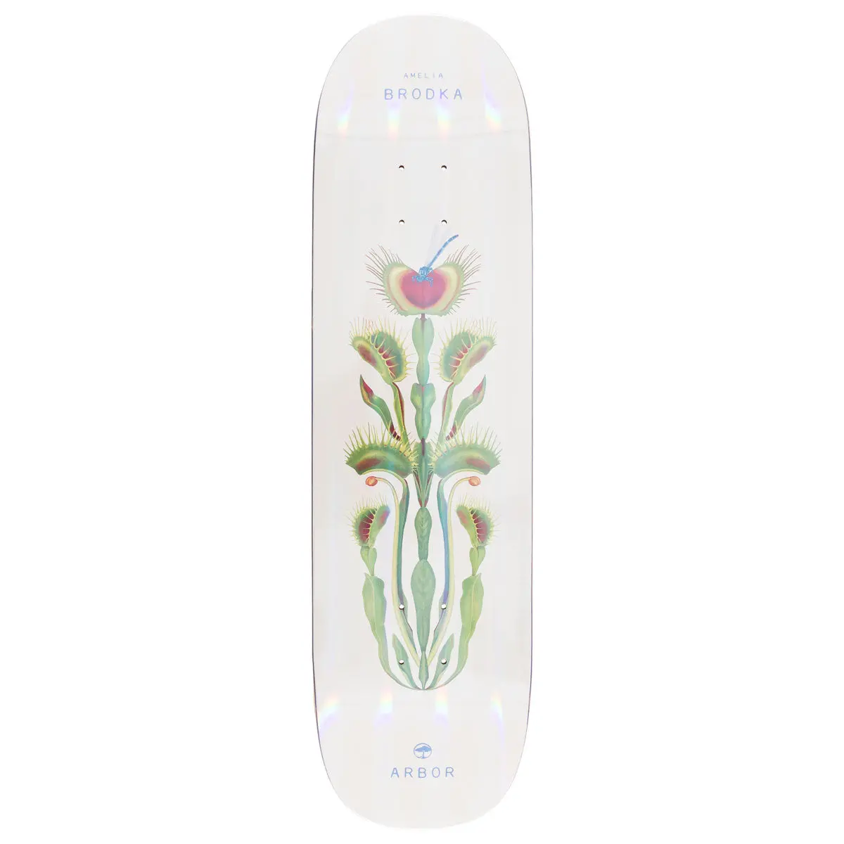Arbor Amelia Brodka Venus Skateboard Deck - 8.50" 1
