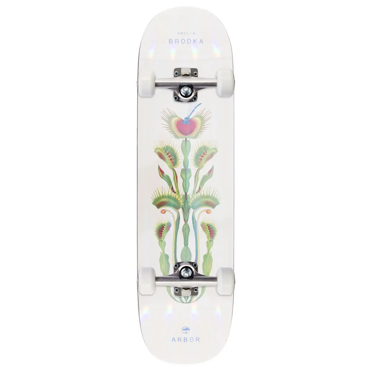 Arbor Amelia Brodka Venus Skateboard Complete - 8.50" 1