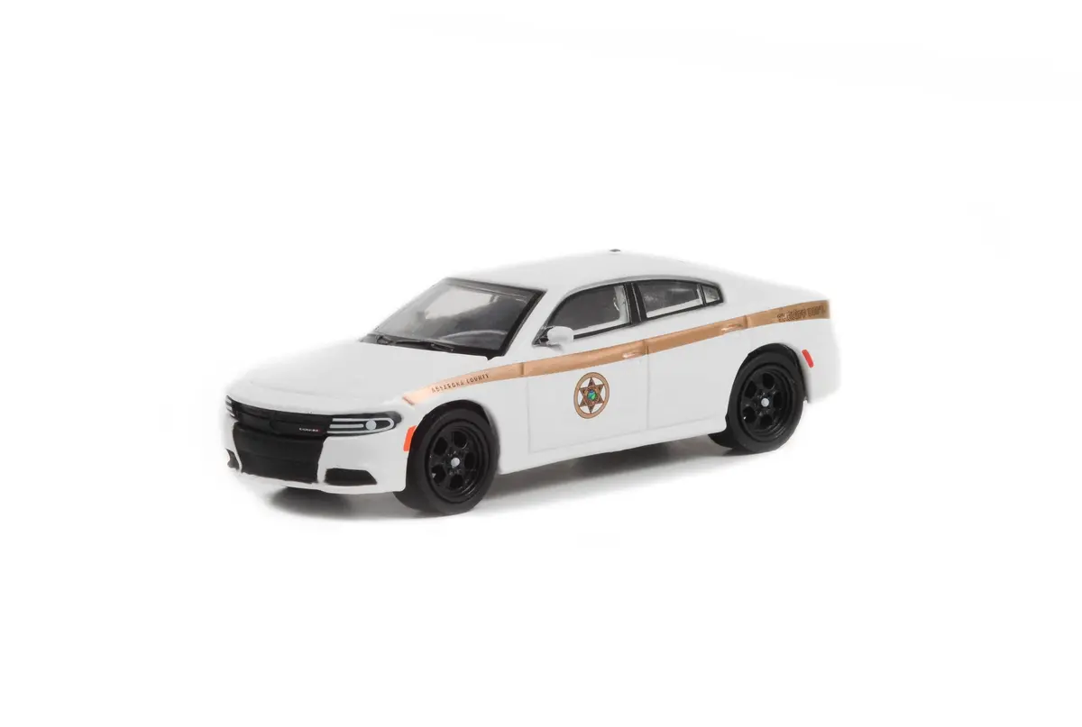 Hobby Exclusive 30335 2015 Dodge Charger Pursuit Absaroka County 2