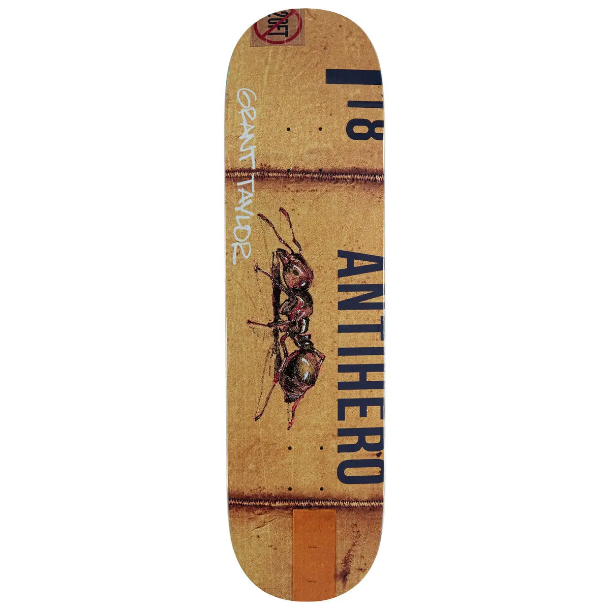 Anti-Hero Taylor Intermodal Skateboard Deck - 8.32" 1