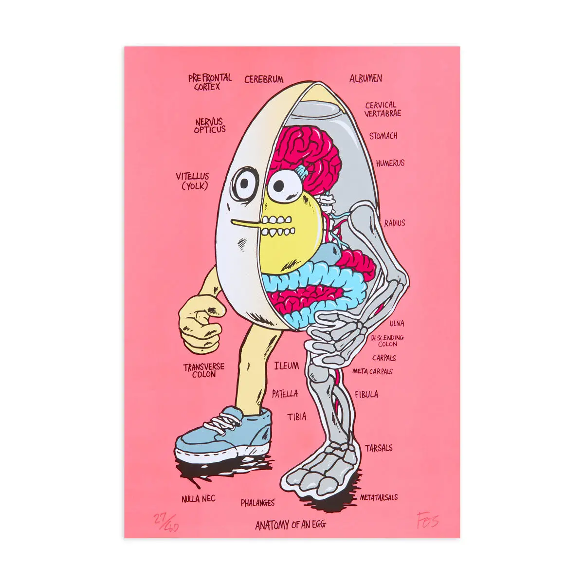 Pragmatic Prints X Fos Egg Print - Pink 1