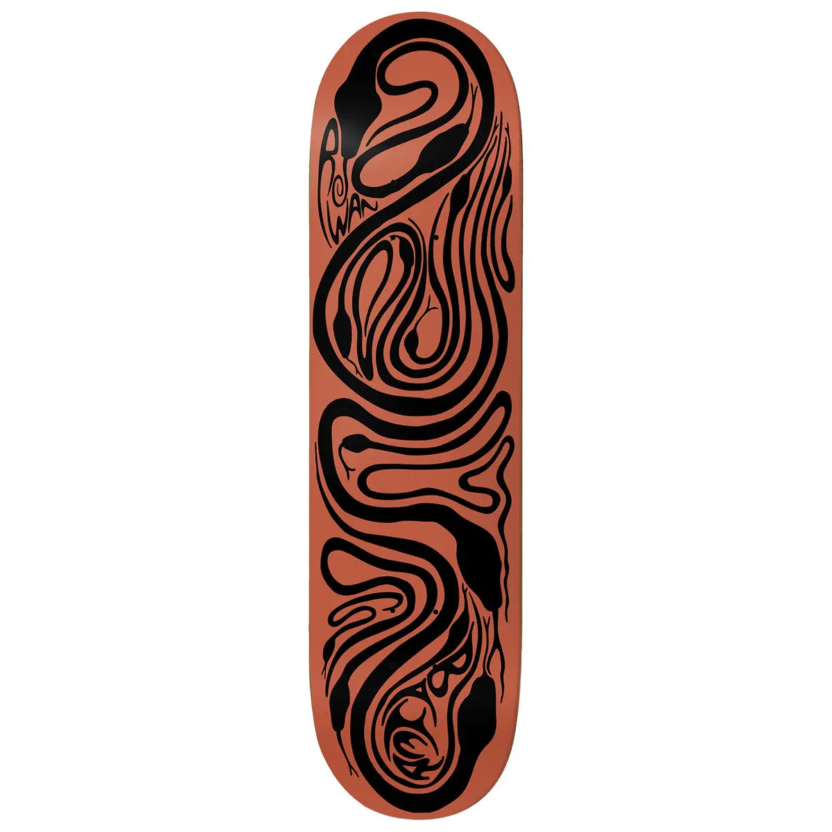 Baker Rowan Zorilla Brain Rabies Skateboard Deck - 8.125" 1
