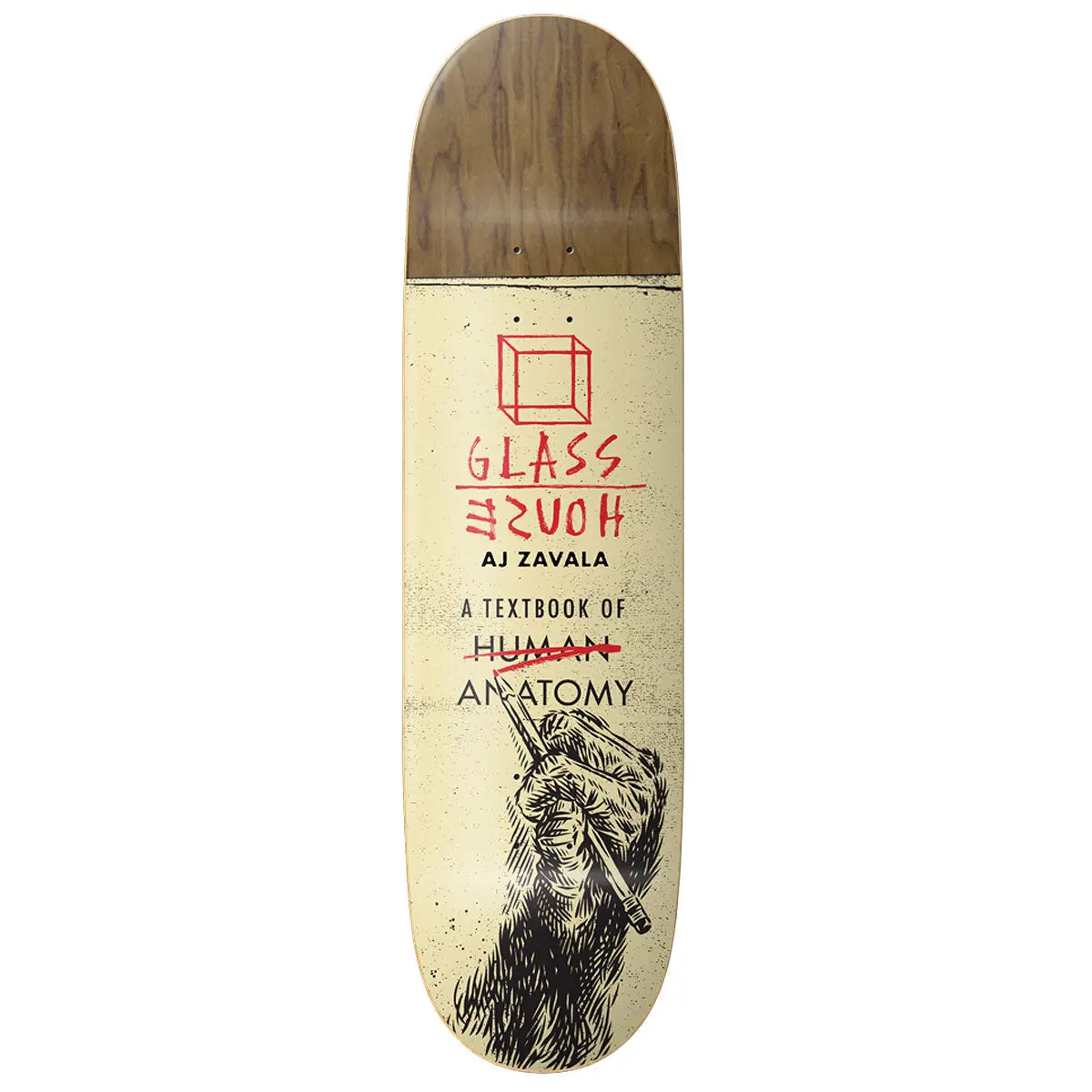 Glass House Zavala Anatomy Skateboard Deck - Assorted Veneers - 8.25" 1