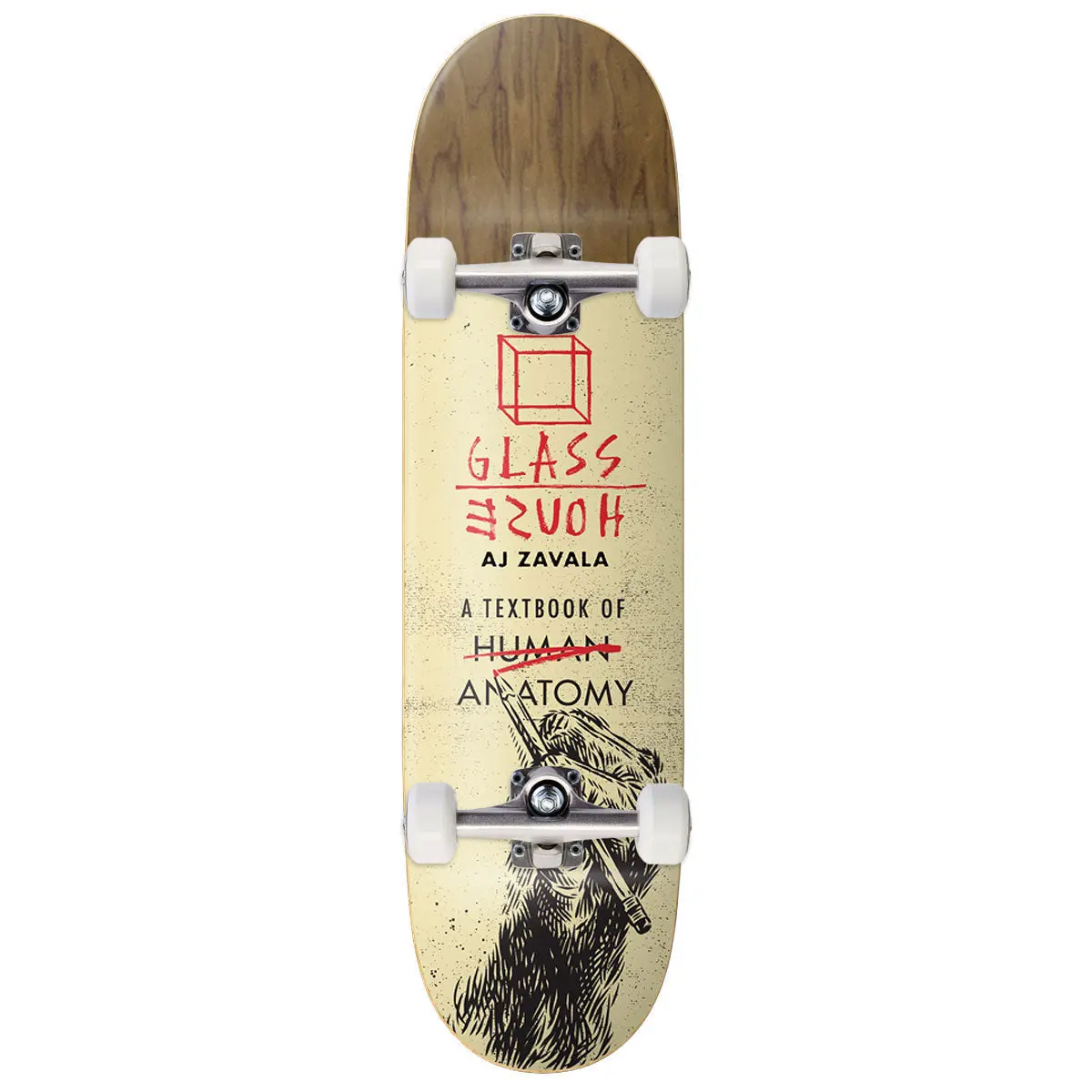 Glass House Zavala Anatomy Skateboard Complete - Assorted Veneers - 8.25" 1