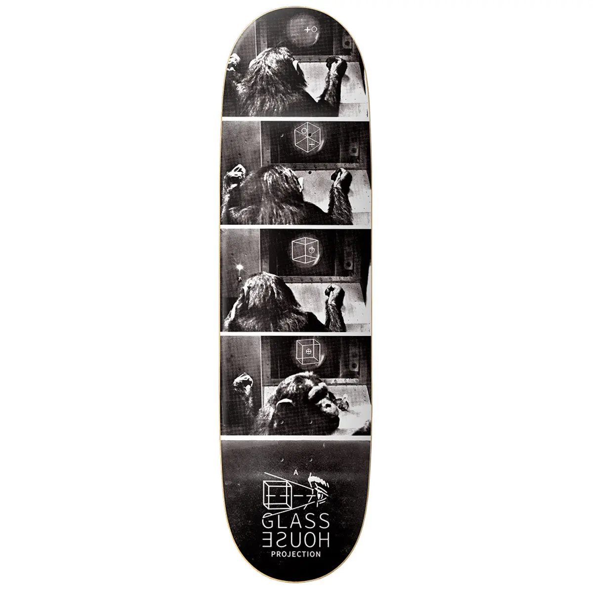 Glass House Hominid Skateboard Deck - 8.25" 1