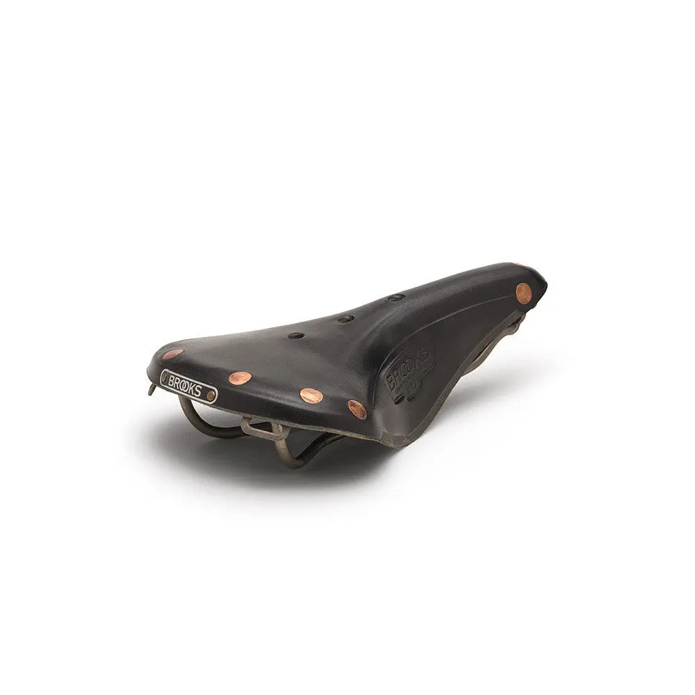 B17 Special Titanium Saddle 1