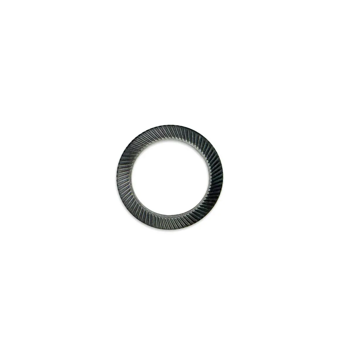 Lwb120 - M30 - Bellville Washer - Qty 1 1