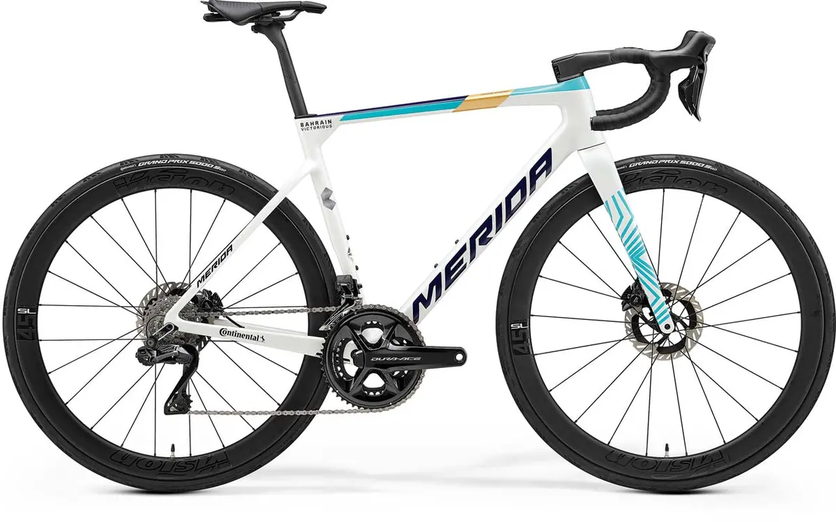 25 Scultura Team Teal/Pearl Blue 1