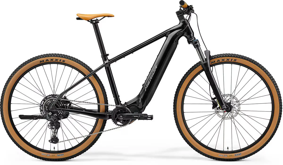 Ebig.Nine 400  Electric Hardtail 1