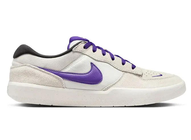 Nike SB Force 58 Phantom Court in Purple