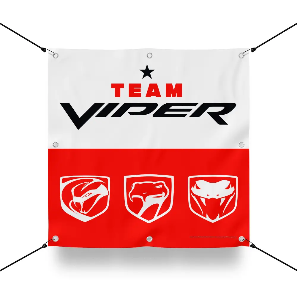 Banner - Team Viper - Square 1