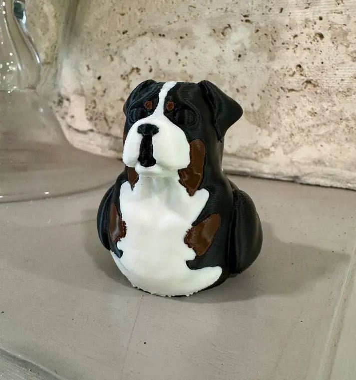 Bernese Mountain Dog Duck 1