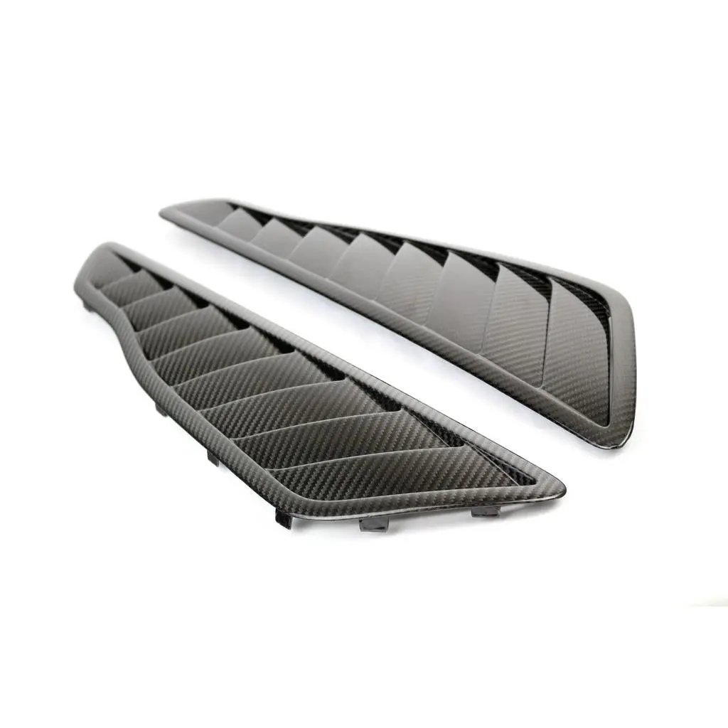 Carbon Fiber Mercedes Benz Amg Gtr Pro Fender Vents 2020 1