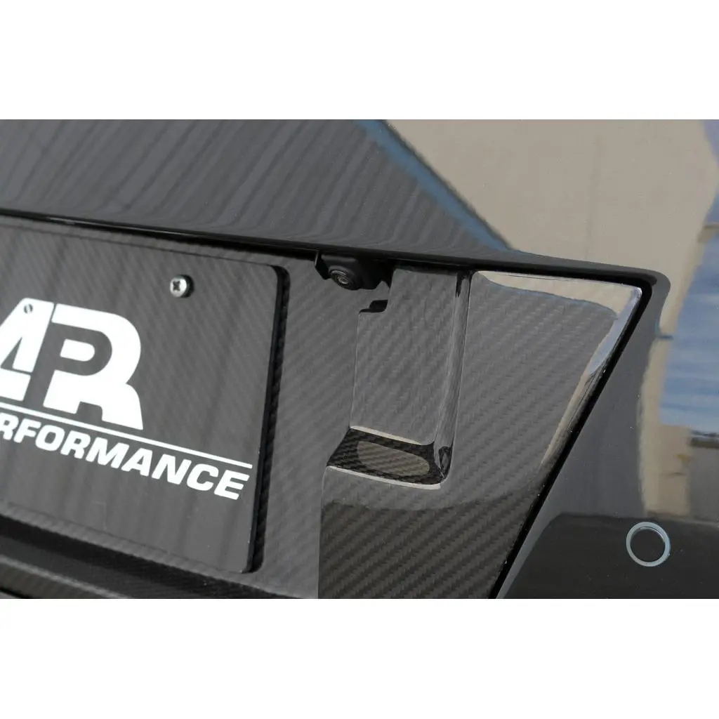 Carbon Fiber Nissan Gtr R35 License Plate Backing 2017-2022 2