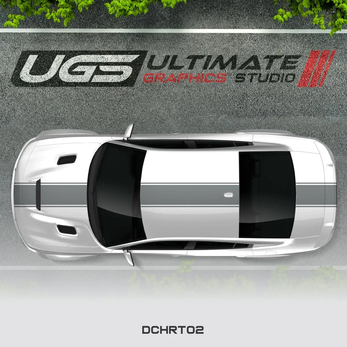 Dodge Charger Top Single Stripe 1 Color 2