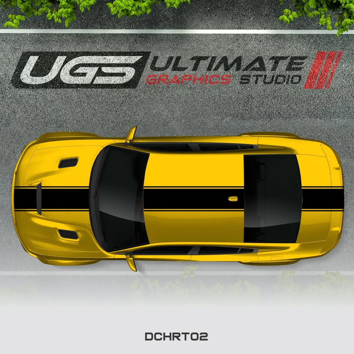 Dodge Charger Top Single Stripe 1 Color 5