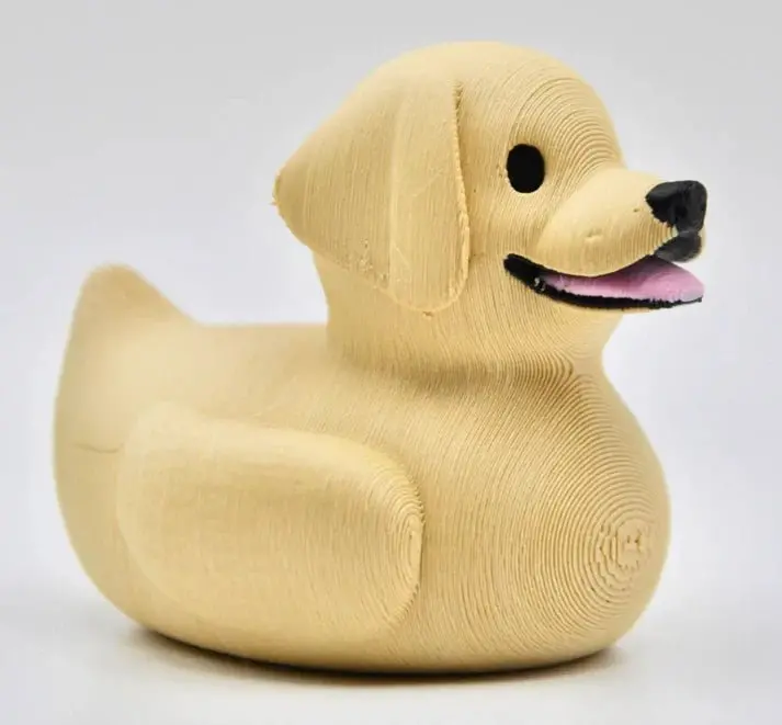 Labrador Retriever Dog Duck 1