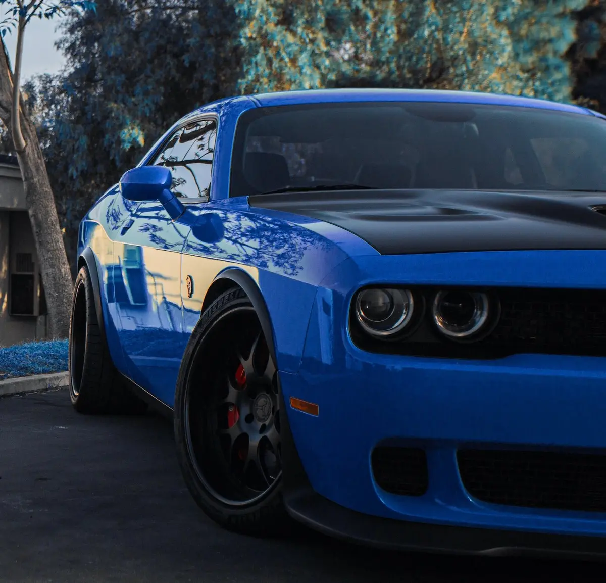 Phillips Lil' Devils Fender Flares (Front Only) 2008-2023 Challenger 1