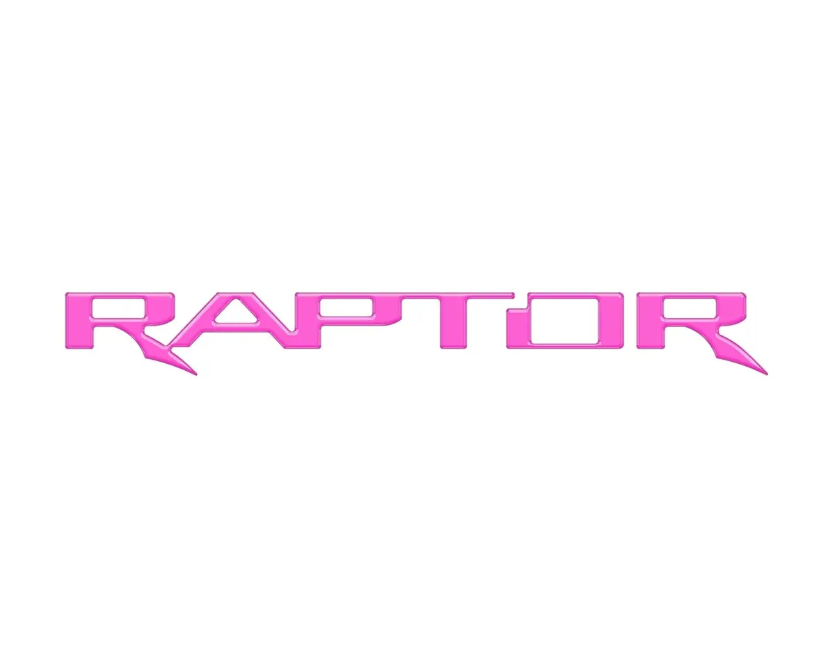 Raptor Emblem Inserts Fits 2022-2026 Ford Bronco Raptor 20