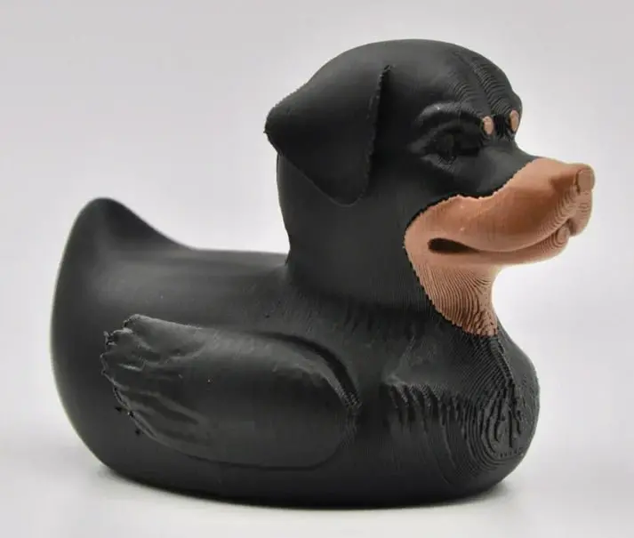 Rottweiler Dog Duck 1
