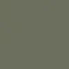 Salty Crew Bruce Hoodie - Dusty Olive 3