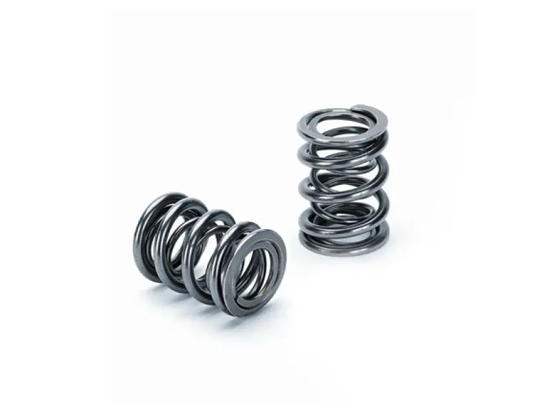 Supertech Dual Valve Spring Kit For Honda B16A, B17A & B18C Engines – 16-Piece Set 1